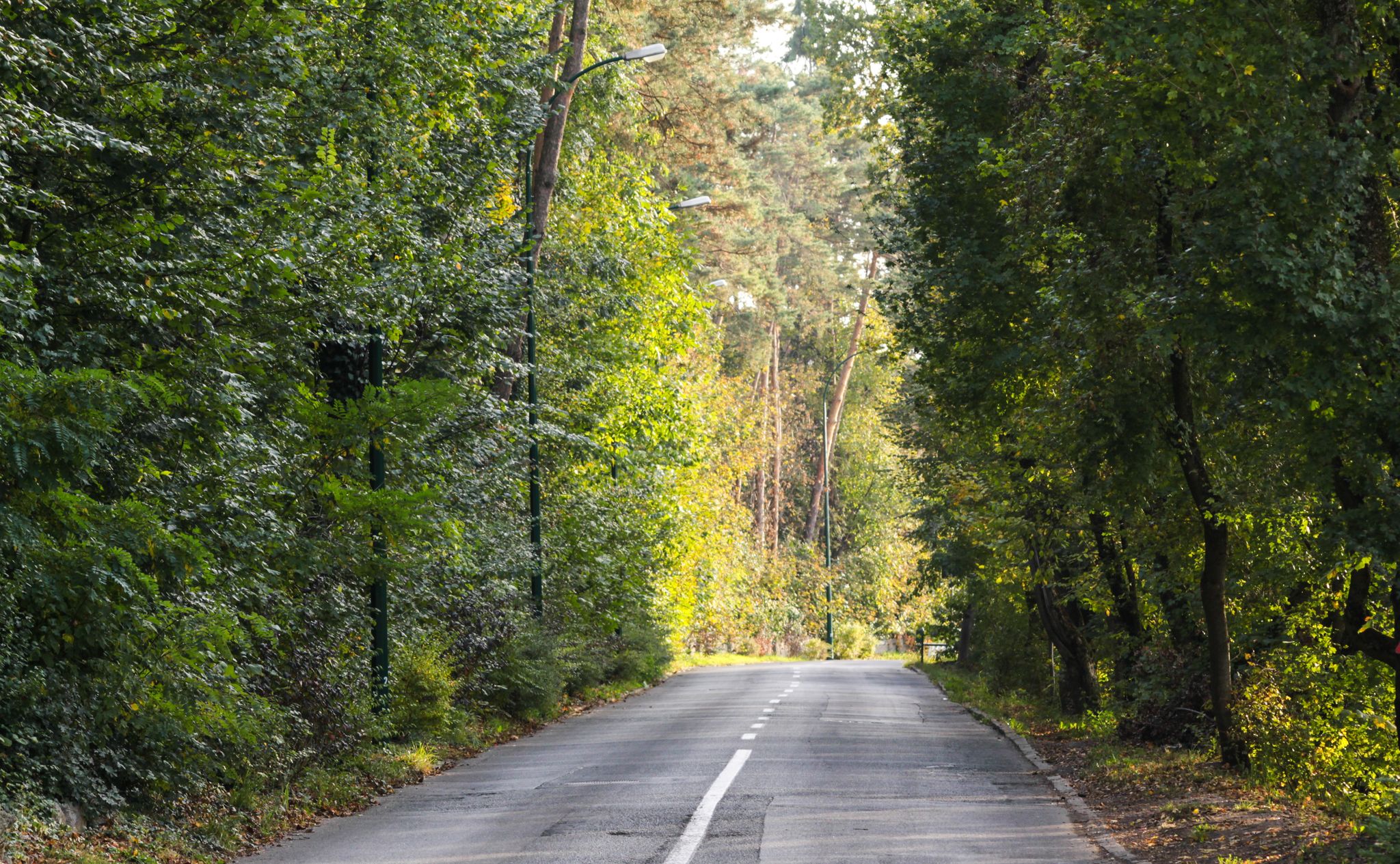 Top 10 Places To Stay in Târgu Mureș