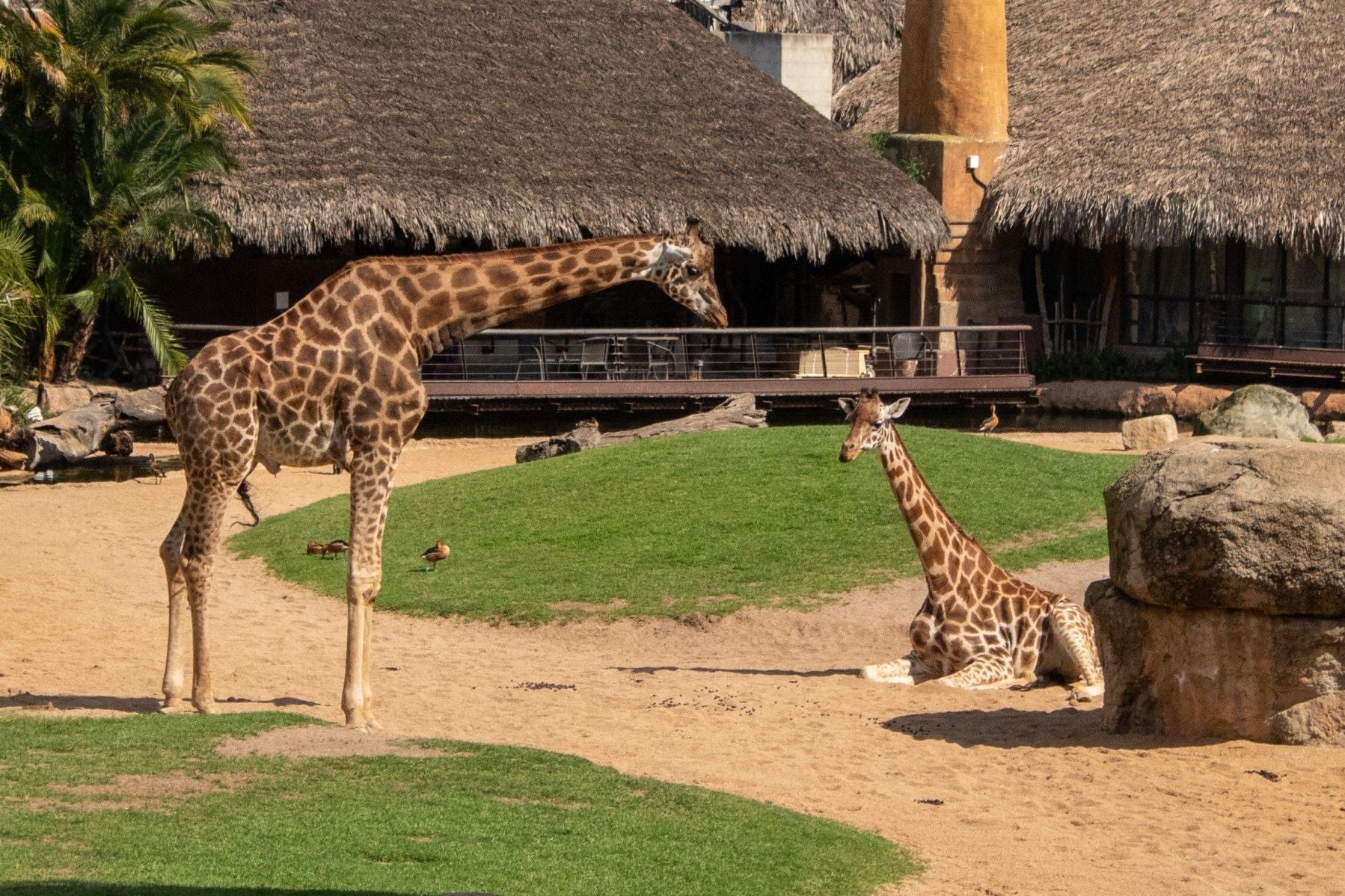 shutterstock_2149216987 (1).jpg