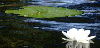 PREMIUM TOUR SMALL GROUP Bucharest: Day Trip to Danube Delta