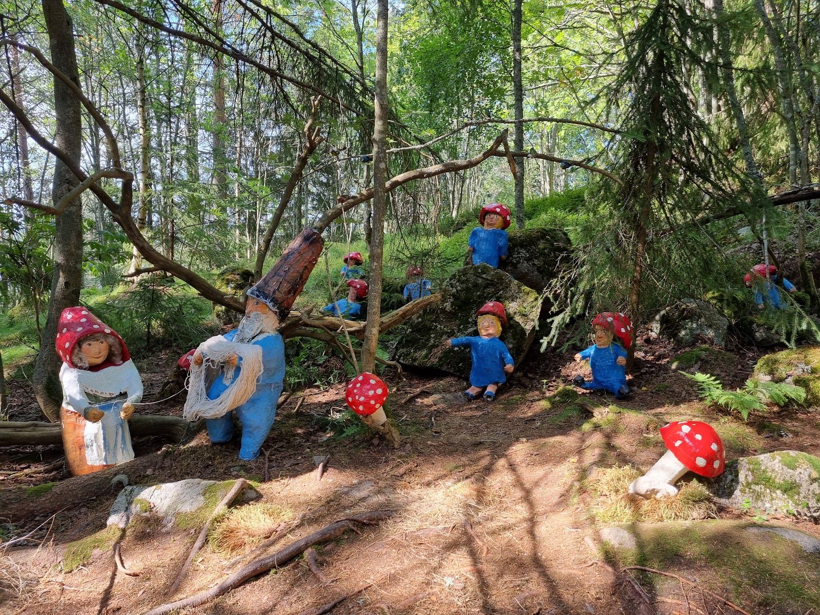 Källarbackens Saga, Sidensjö District, Örnsköldsviks kommun, Västernorrland County, Sweden