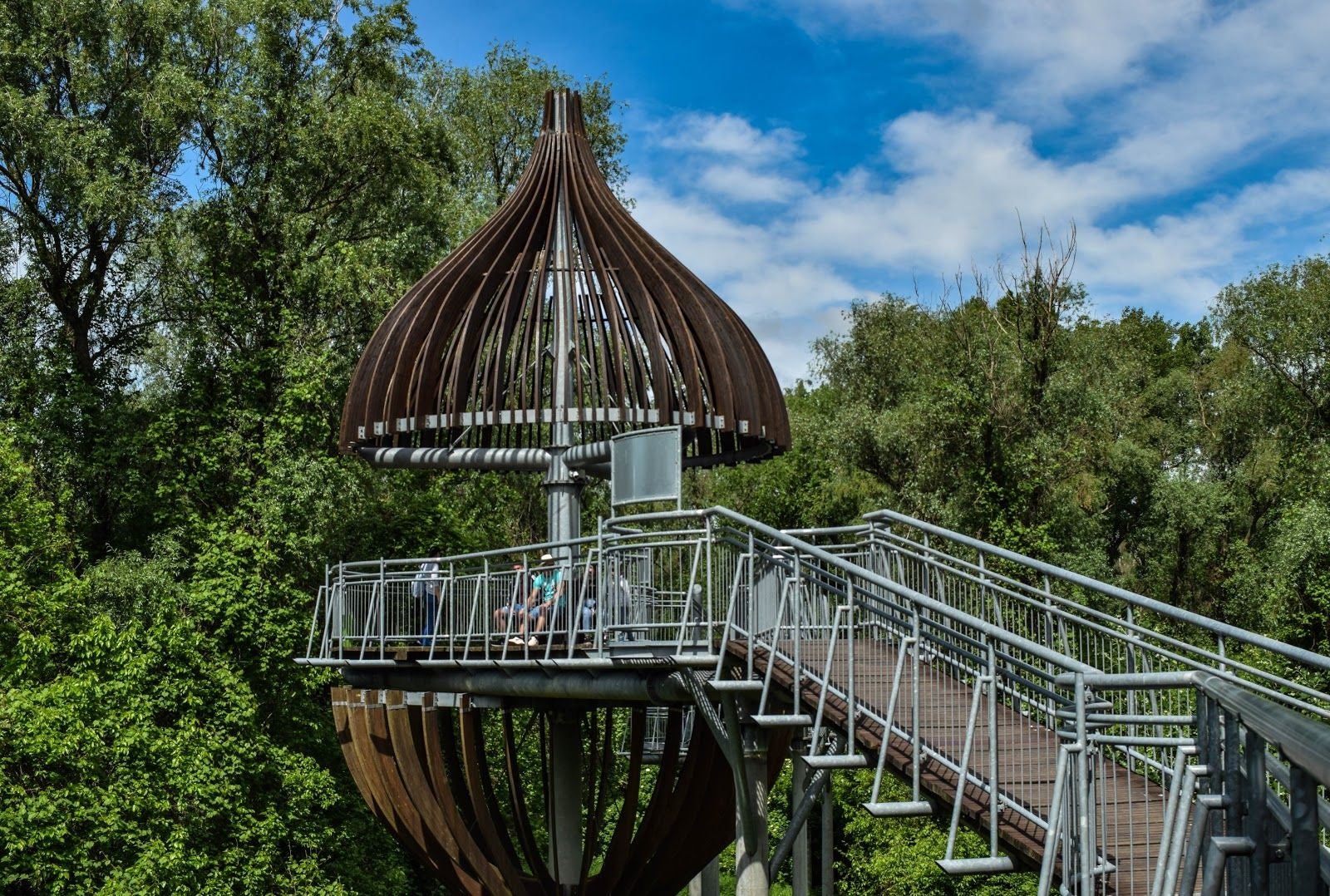Lombkorona Sétány, Makó, Makói járás, Csongrád-Csanád County, Southern Great Plain, Great Plain and North, Hungary