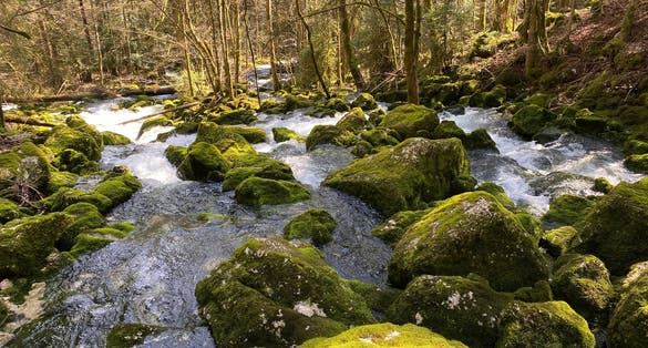 photo of Karst springs in the area of the Vallorbe caves and in the canyon along the source of the river Orbe in Switzerland.