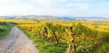 Alsace Half Day Wine Tour from Colmar