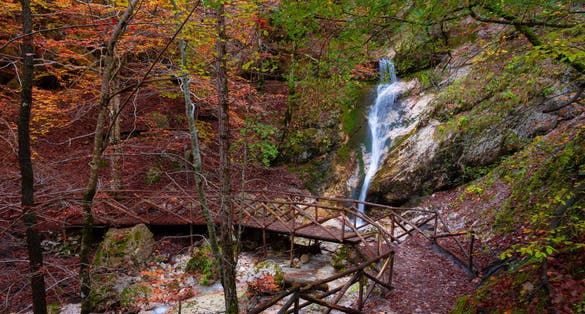 National Park of Abruzzo, Lazio and Molise (Italy) - The autumn with foliage in the mountain natural reserve, with Barrea lake, Camosciara and Val Fondillo landmark.