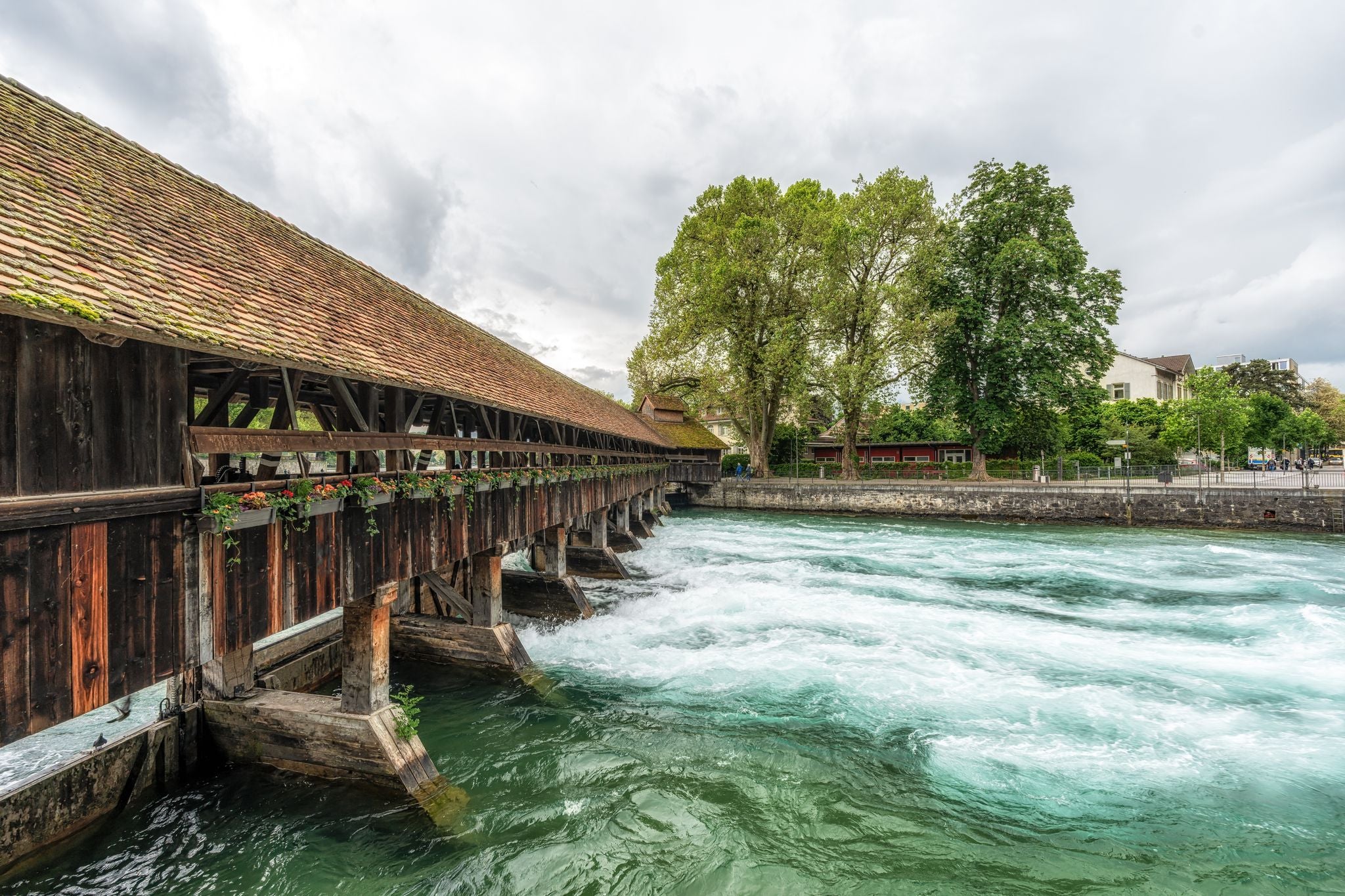 Photo of Gottibachsteg pedestrian bridge view over the Aare River in Thun, Switzerland.