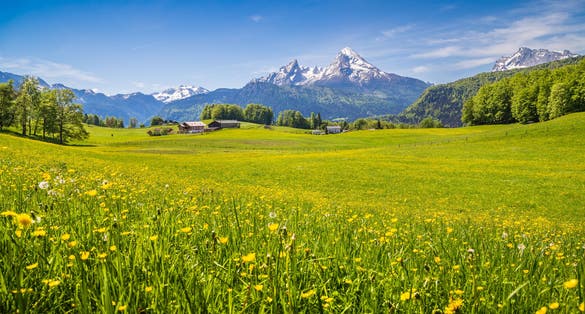 Photo of Idyllic landscape in the Alps with fresh green meadows and blooming flowers and snow-capped mountain tops in the background .