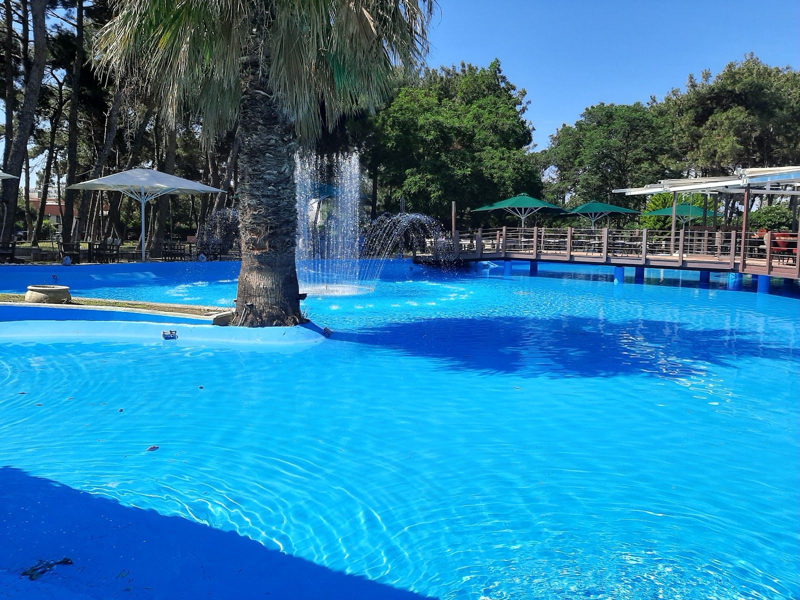 Scout Park - Municipal Grove, Δήμος Αλεξανδρούπολης, Evros Regional Unit, Eastern Macedonia and Thrace, Macedonia and Thrace, Greece