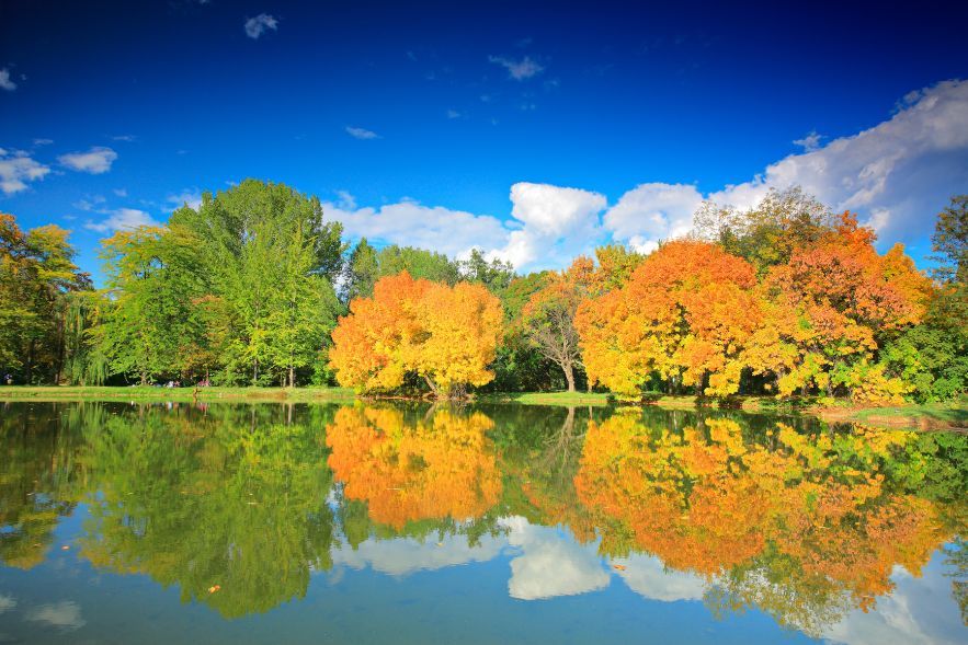 A peaceful lake in Skopje City Park reflects colorful autumn trees under a bright blue sky with white clouds..jpg