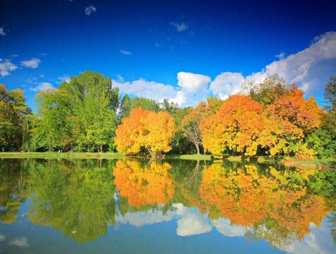 A peaceful lake in Skopje City Park reflects colorful autumn trees under a bright blue sky with white clouds..jpg