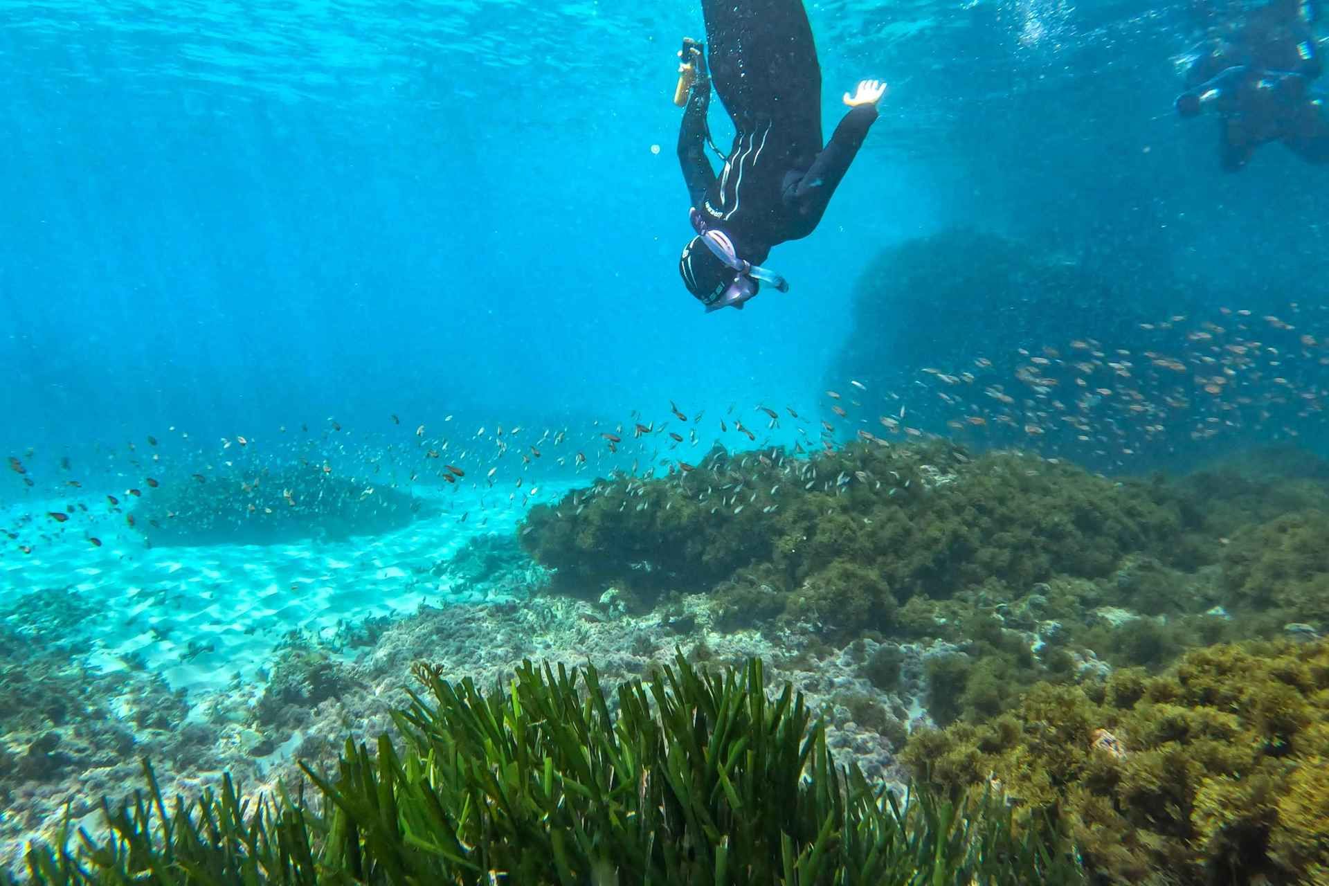 Nerja-Maro: Snorkeling & Sea Scooter Speedboat Trip