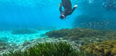 Nerja-Maro: Snorkeling & Sea Scooter Speedboat Trip