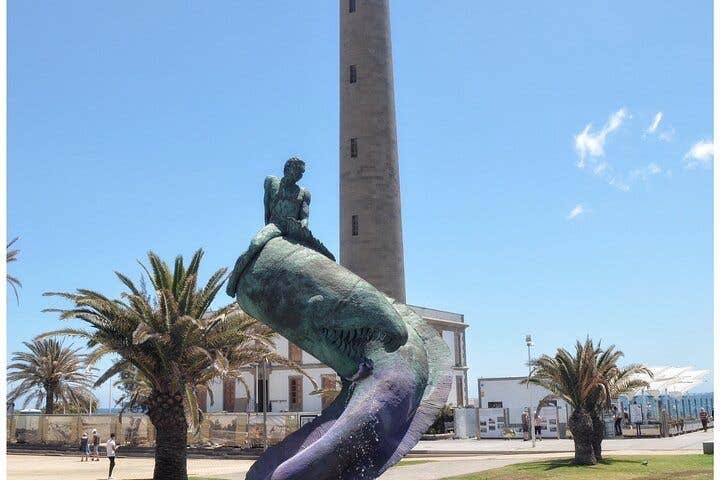 South of Gran Canaria Maspalomas Dunes Mogan Harbor Tour