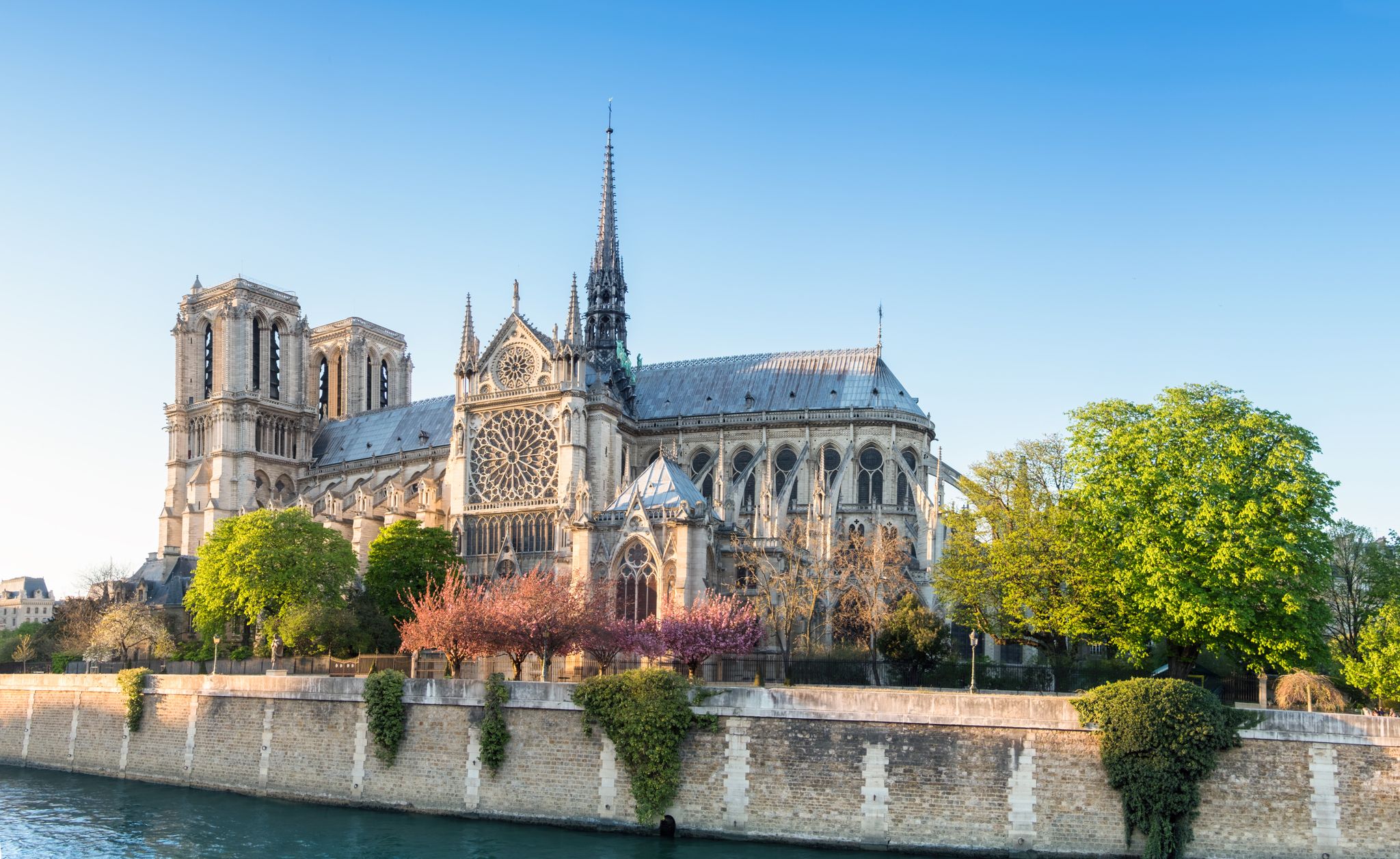 Photo of Notre Dame Cathedral in Paris on a bright afternoon in Spring, France.