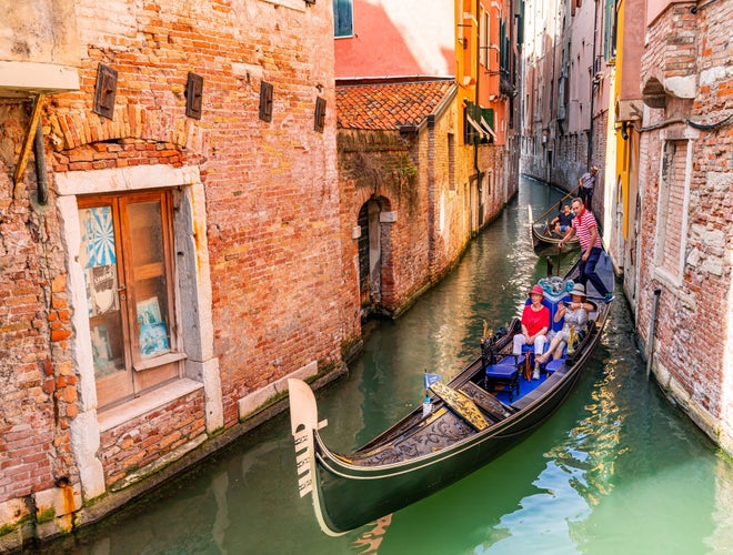 shutterstock_2473561383 (1).jpg