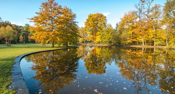 Photo of park Stromovka in autumn ,Prague.
