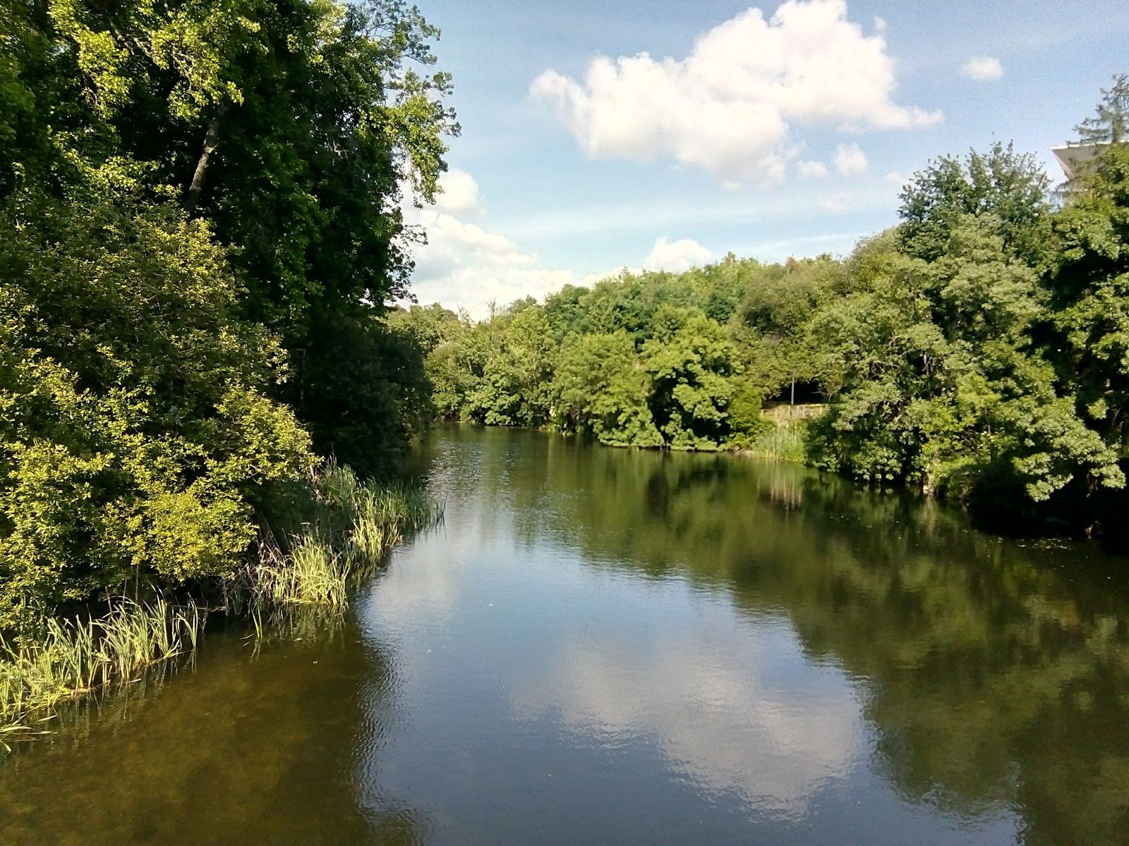 Parque Florestal, São Pedro, Vila Real, Douro, North, Portugal