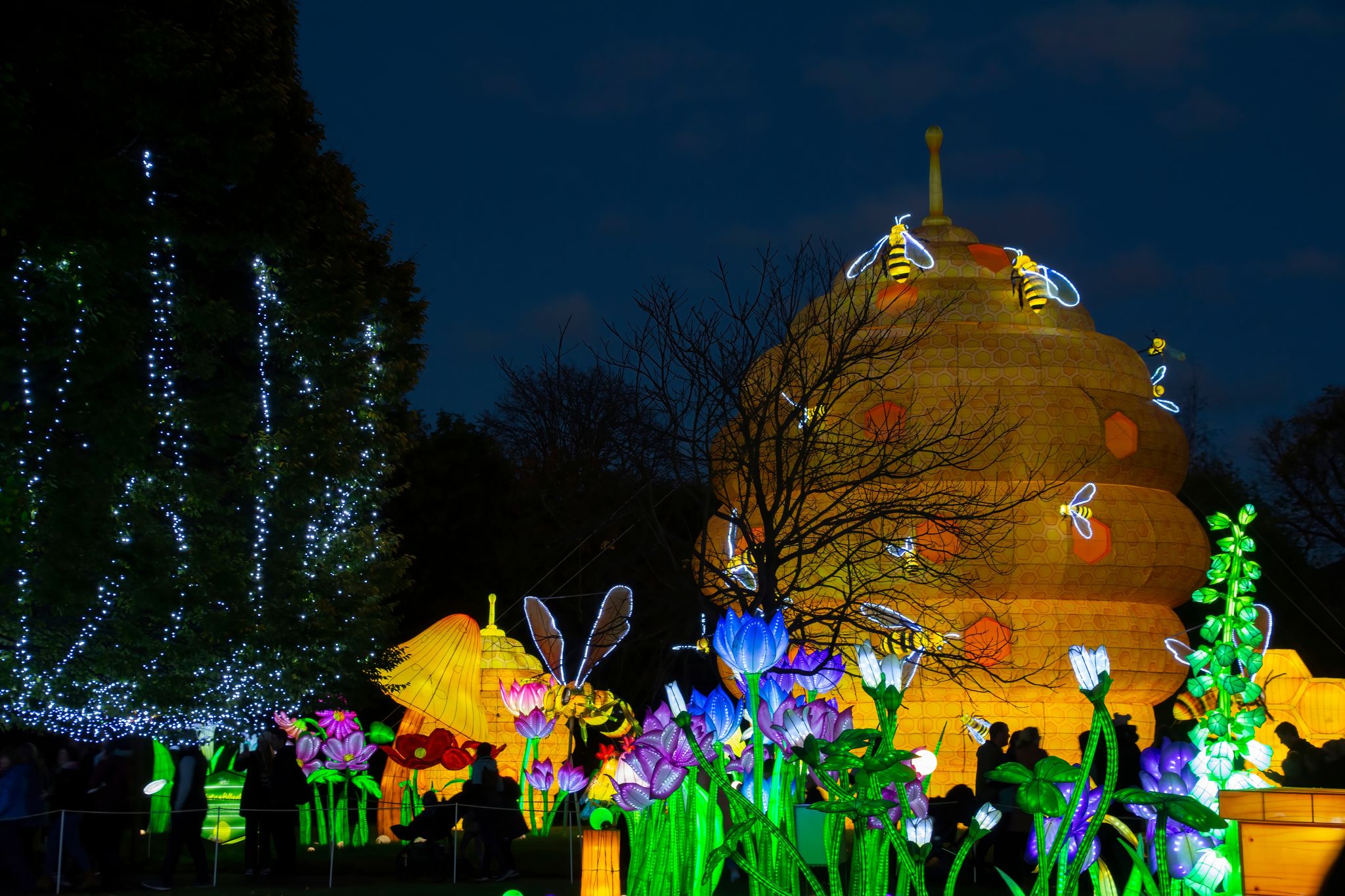 Photo of The Wild Lights, the spectacular, night-time experience at Dublin Zoo in Phoenix Park.
