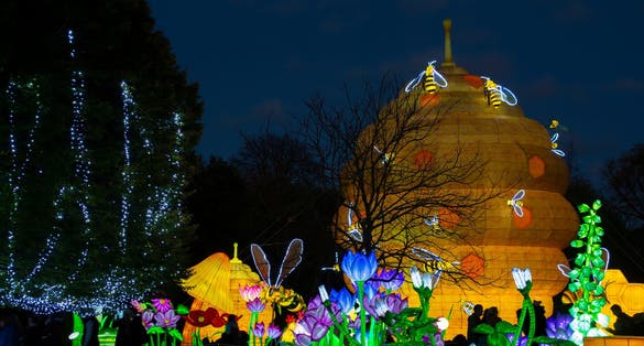 Photo of The Wild Lights, the spectacular, night-time experience at Dublin Zoo in Phoenix Park.