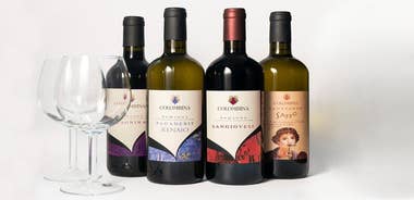 Private tastings at the Colombina Agricultural Company