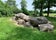 Dolmen D52 in Diever, Diever, Westerveld, Drenthe, Netherlands