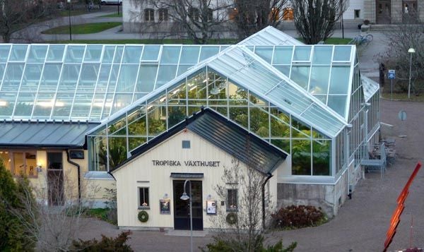 tropical greenhouse, Uppsala kommun, Uppsala County, Sweden