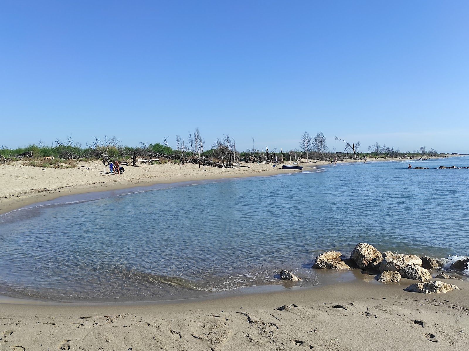 Riserva Naturale Statale di Metaponto, Bernalda, Matera, Basilicata, Italy