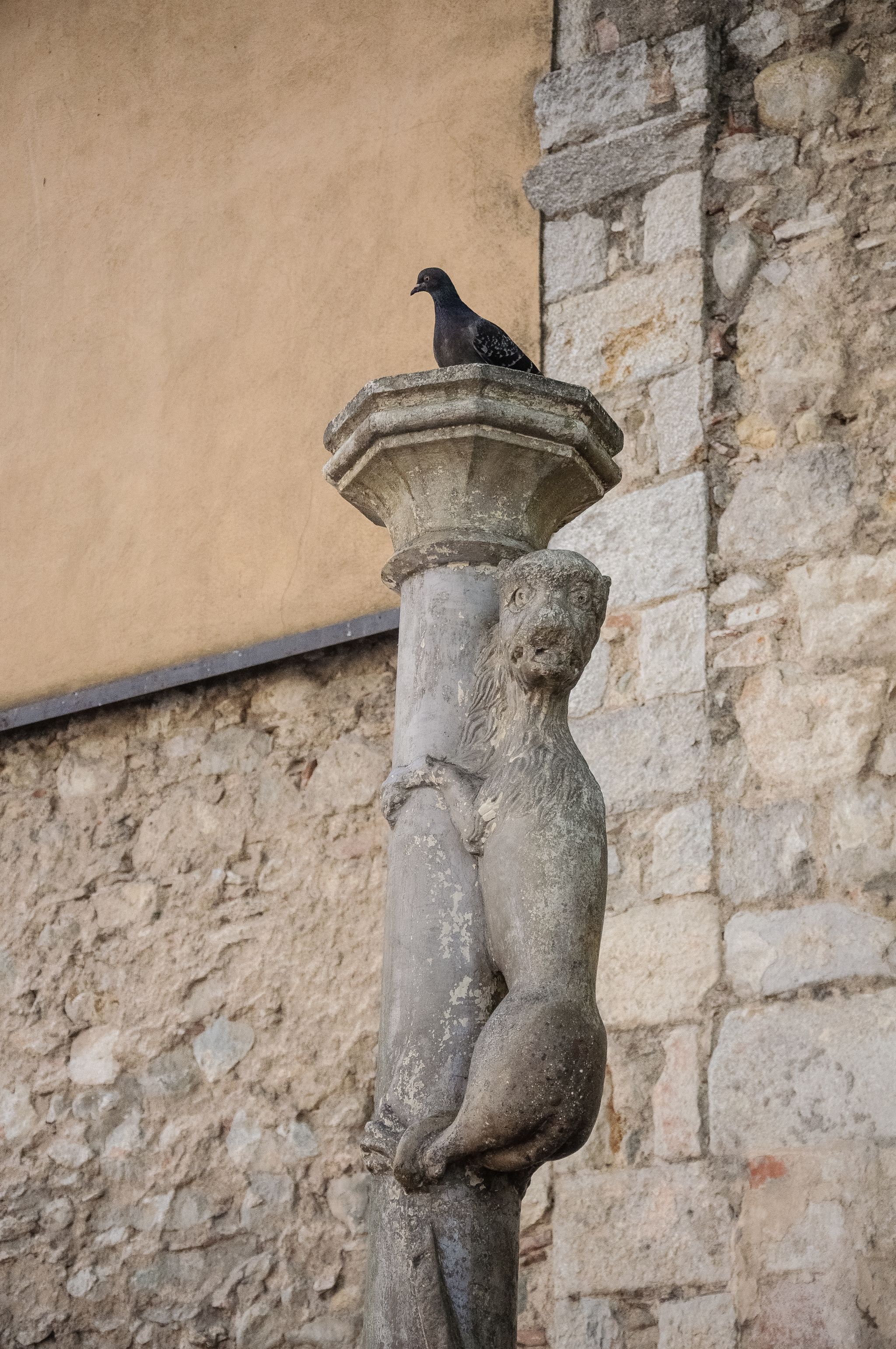 The sculpture of the lioness is located on Calderers Street.jpg