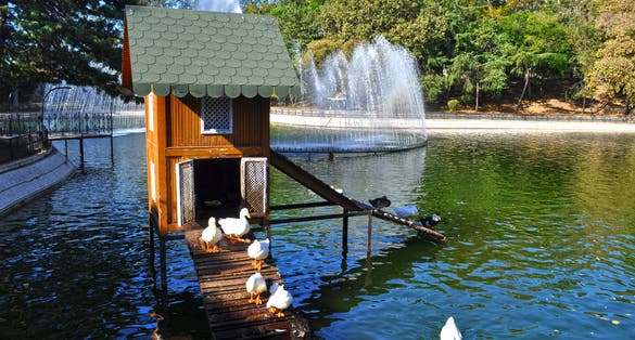 Yıldız Park (Turkish: Yıldız Parkı) is a historical, urban park in Beşiktaş district of Istanbul, Turkey.