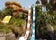 Aqualand Costa Adeje, Spain