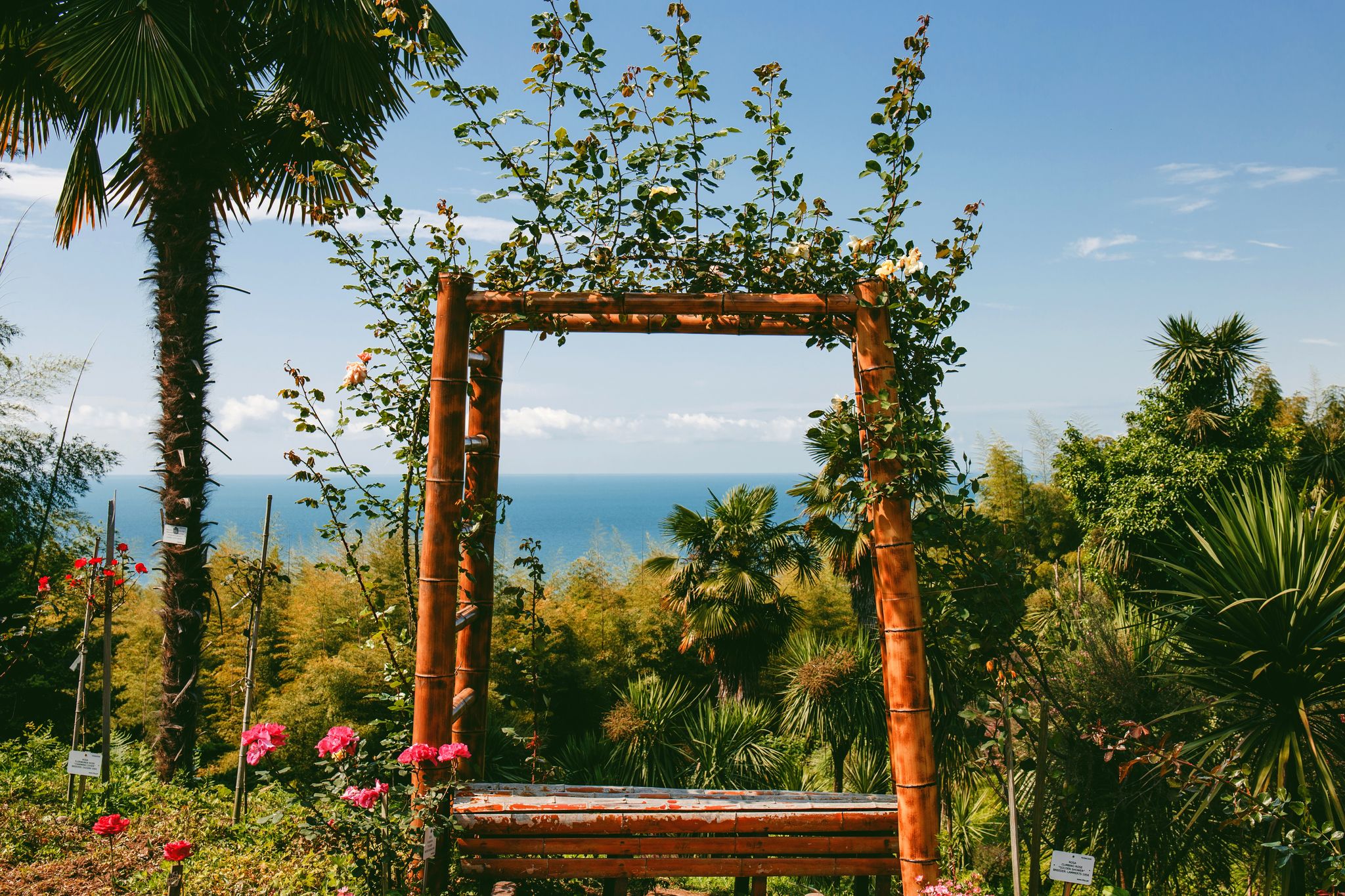 Batumi - city in Georgia