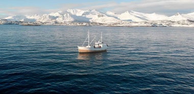 Svolvær: Fishing Trip on the Lofoten Sea