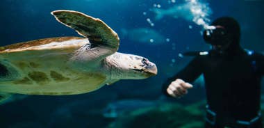 Heraklion Area: CRETAquarium Admission Ticket