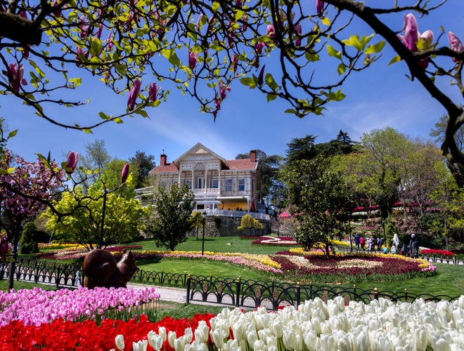 shutterstock_2127940280 (2).jpg