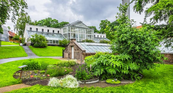 Photo of botanical Garden and museums within it are among Oslo's most popular attractions for tourists and local visitors in Oslo, Norway.