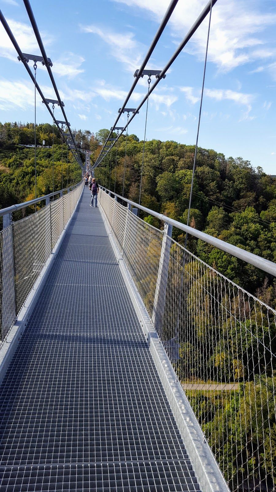 Landschaftsschutzgebiet Harz und südliches Harzvorland, Schierke, Wernigerode, Landkreis Harz, Saxony-Anhalt, Germany