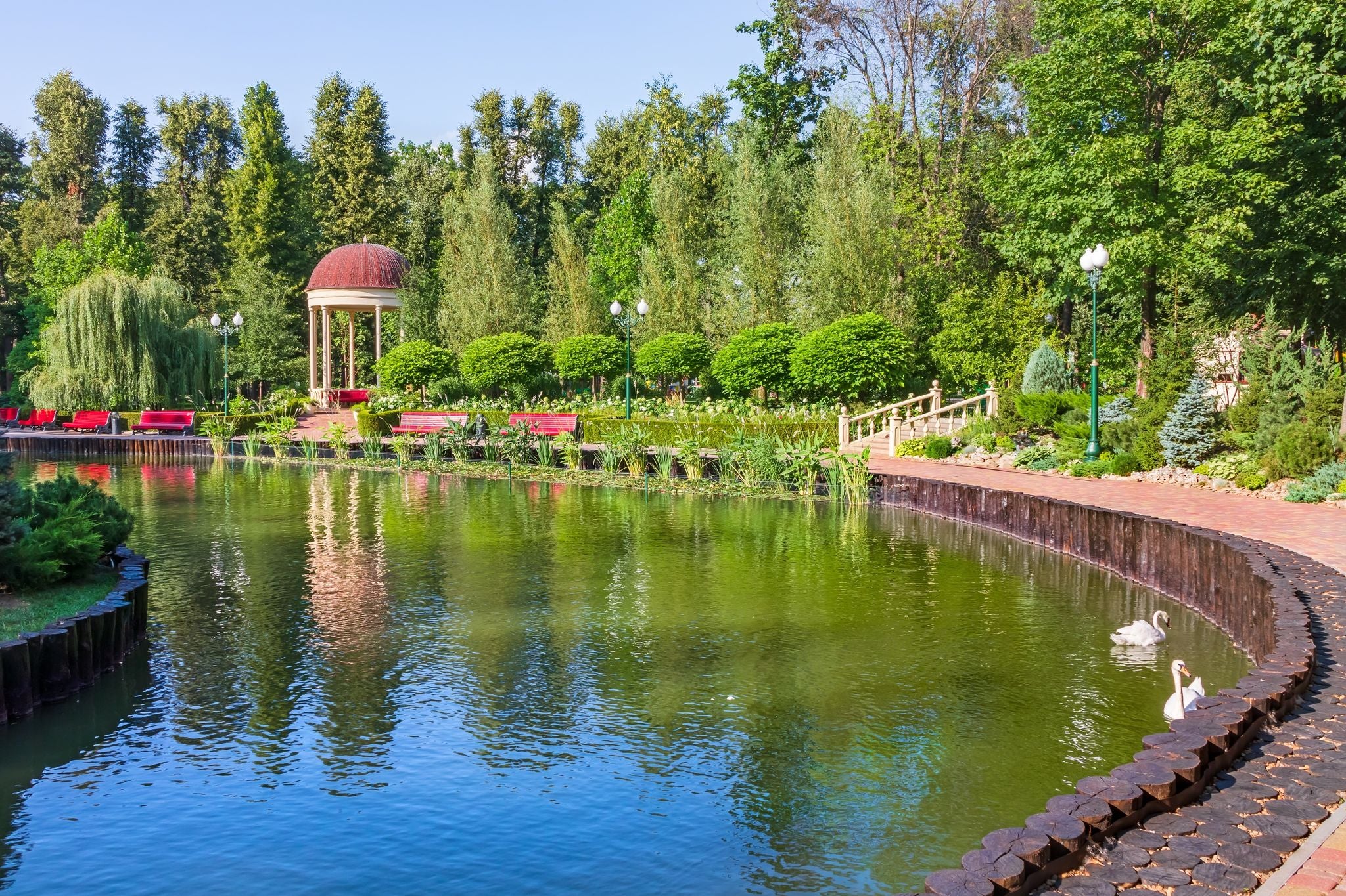 Photo of beautiful pond in the park Kharkiv city, Ukraine.