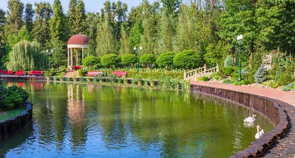 Photo of beautiful pond in the park Kharkiv city, Ukraine.