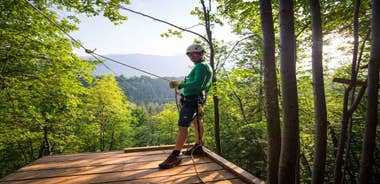 Bled: Europe's Longest Zipline Adventure over Dolinka River