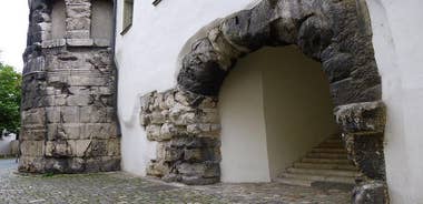 Regensburg - Classic guided tour