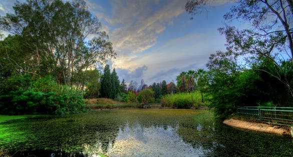 Fonte Ciane, Syracuse, Sicilia, Italy