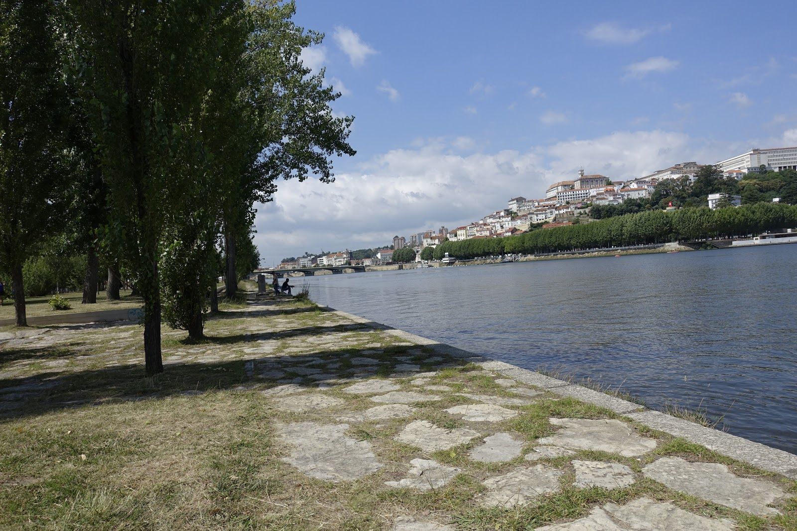 Parque da Cidade Manuel Braga, Almedina, Sé Nova, Santa Cruz, Almedina e São Bartolomeu, Coimbra, Baixo Mondego, Centro, Portugal
