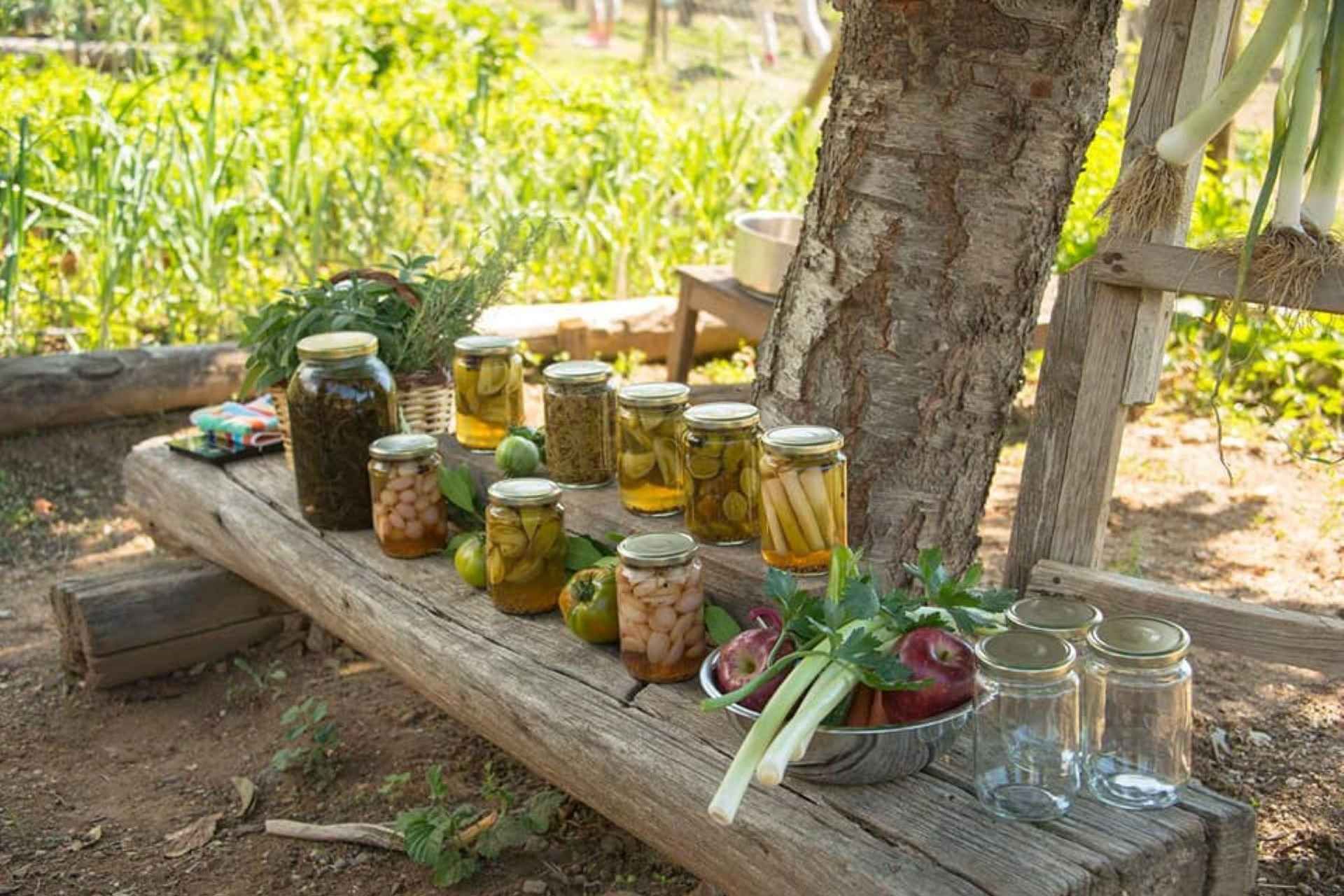 Pelion Private Nature Experience : Farm-to-Table Cooking