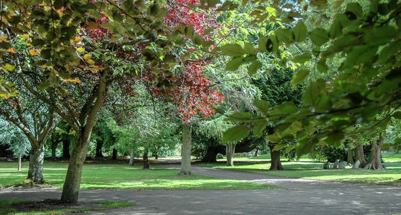 Photo of Fitzgerald’s Park is on the Cork and was founded for the Cork Exhibition which was attended by Queen Victoria.