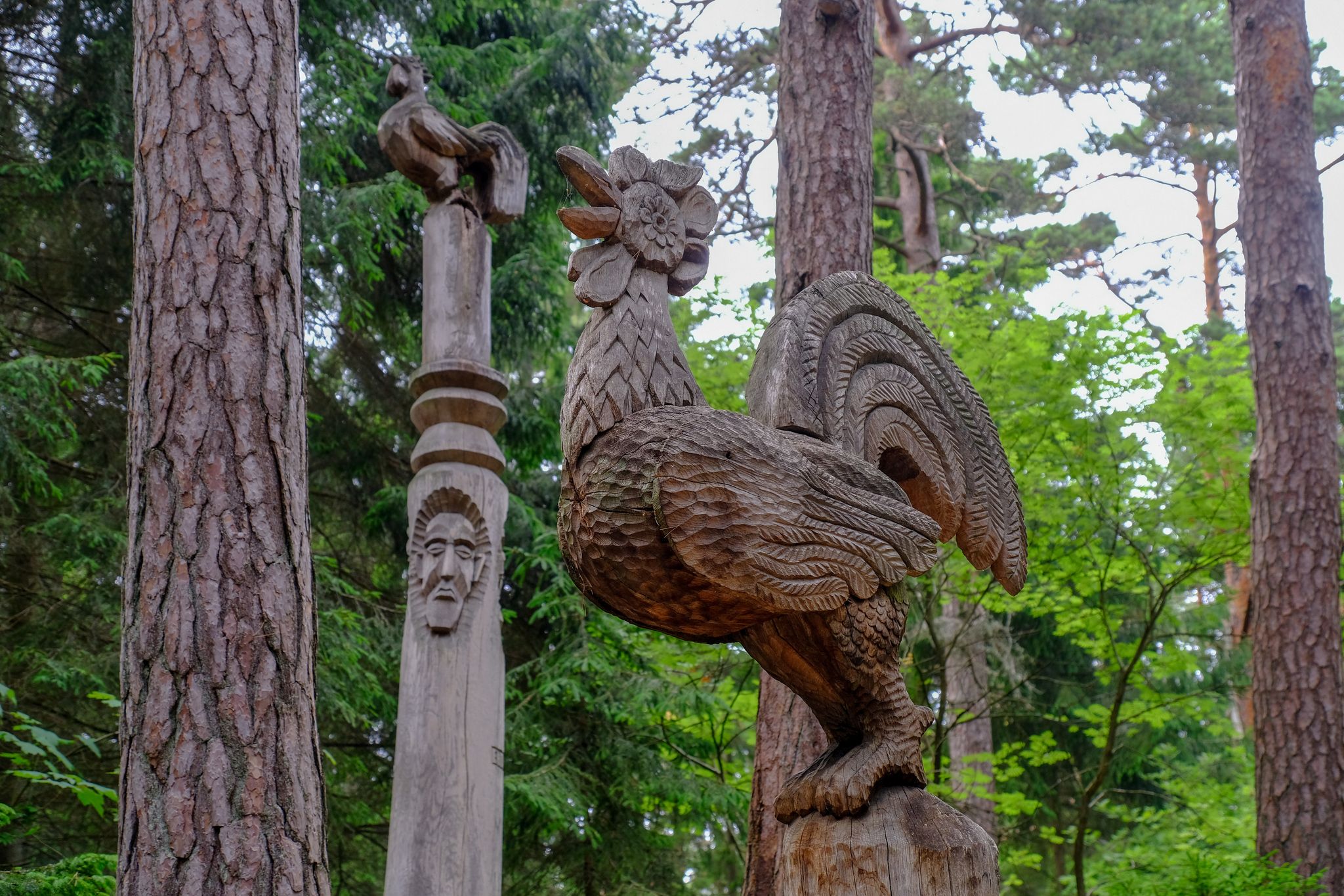 photo of hill of witches on curonian spit in lithuania.