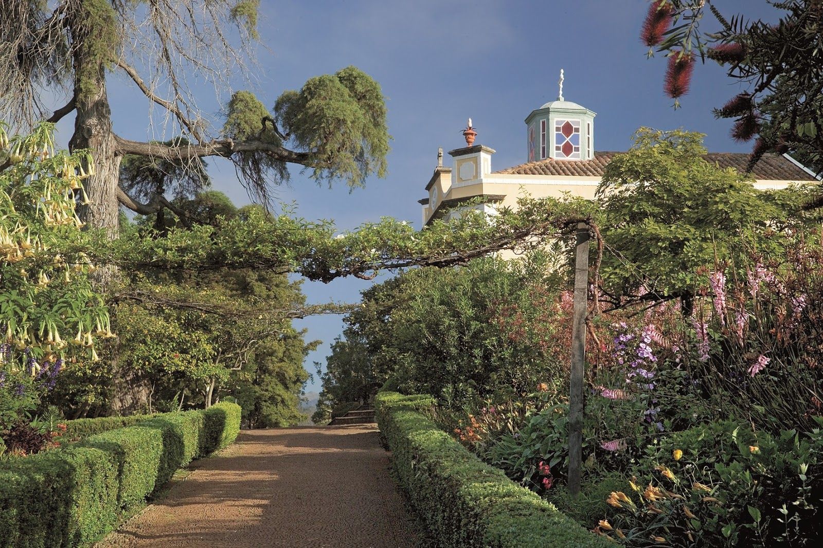 Palheiro Gardens, São Gonçalo, Funchal, Madeira, Portugal