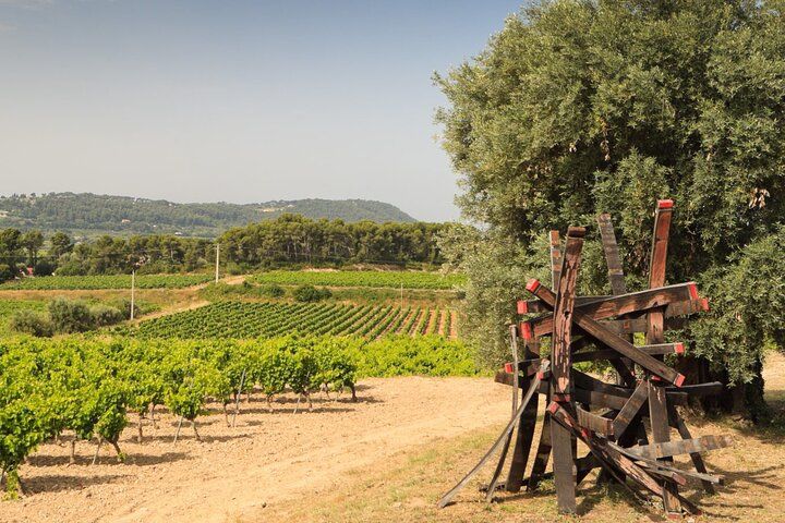 Private Vineyard Tour and Wine Tasting in Bandol