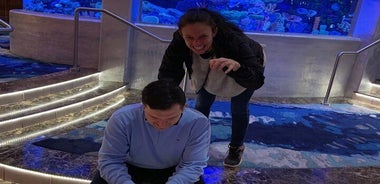 Adventurous Scavenger Hunt in Swansea by Operation City Quest