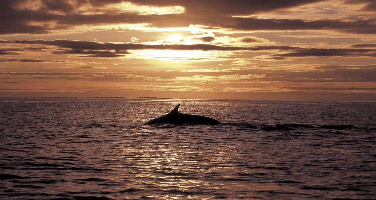 8 day Self-drive tour | Ring Road Highlights