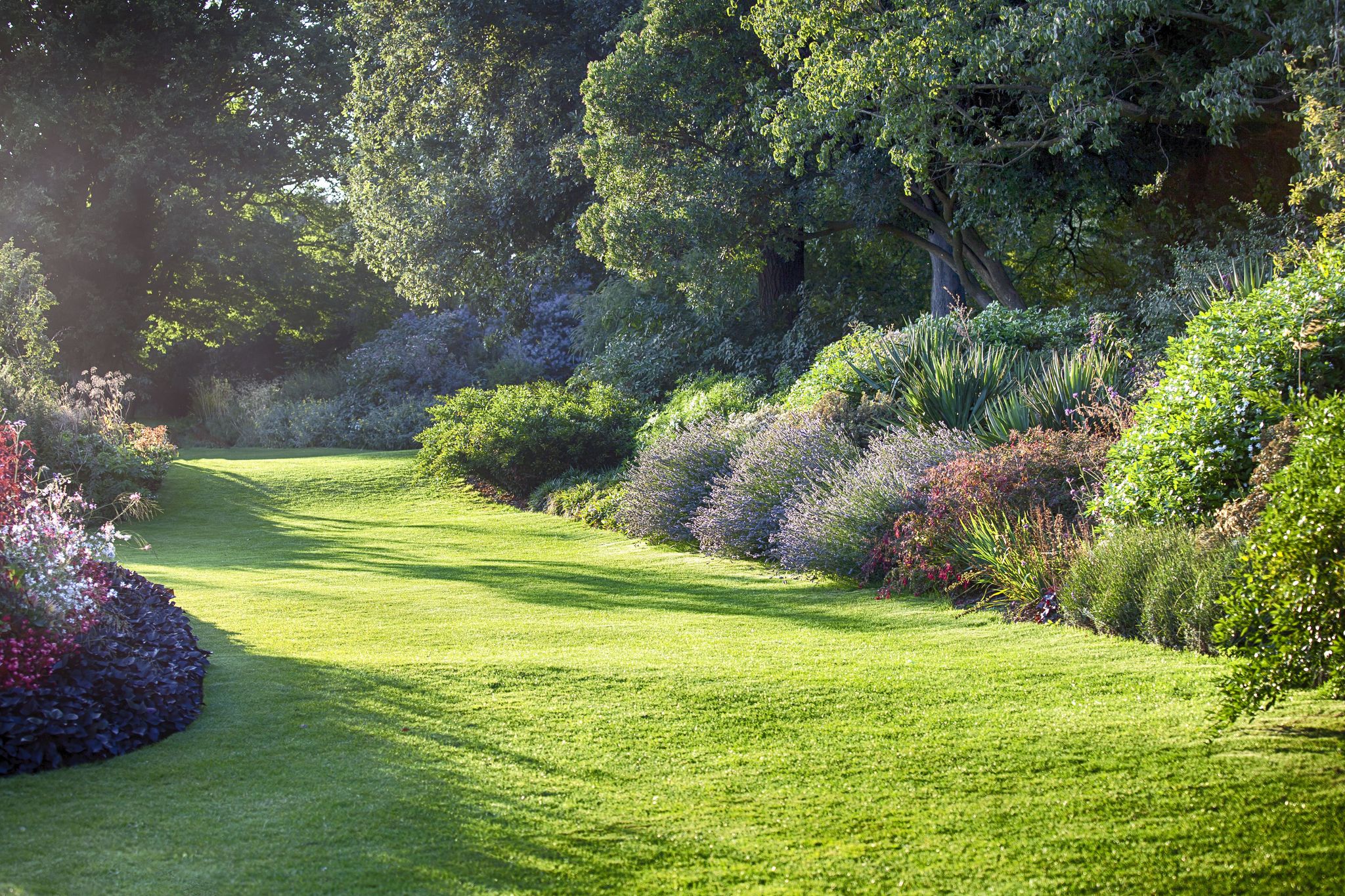 Photo of the spring in Hampstead Heath park in north-west London, UK.