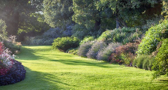 Photo of the spring in Hampstead Heath park in north-west London, UK.